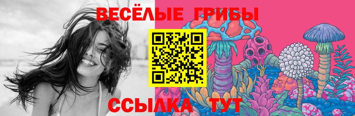 Псилоцибиновые грибы Magic Shrooms Мурманск